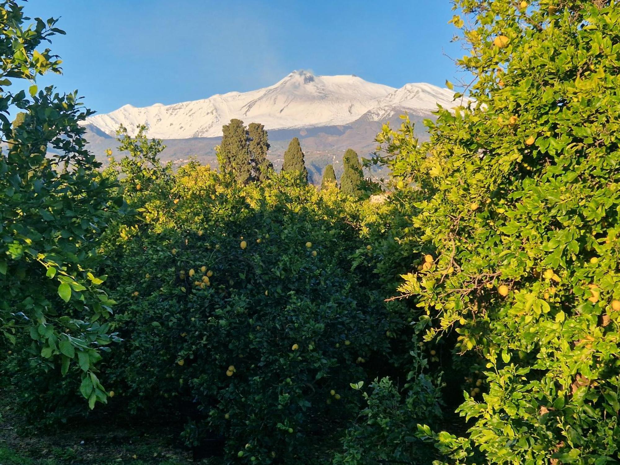 Lumia Villa Riposto Luaran gambar