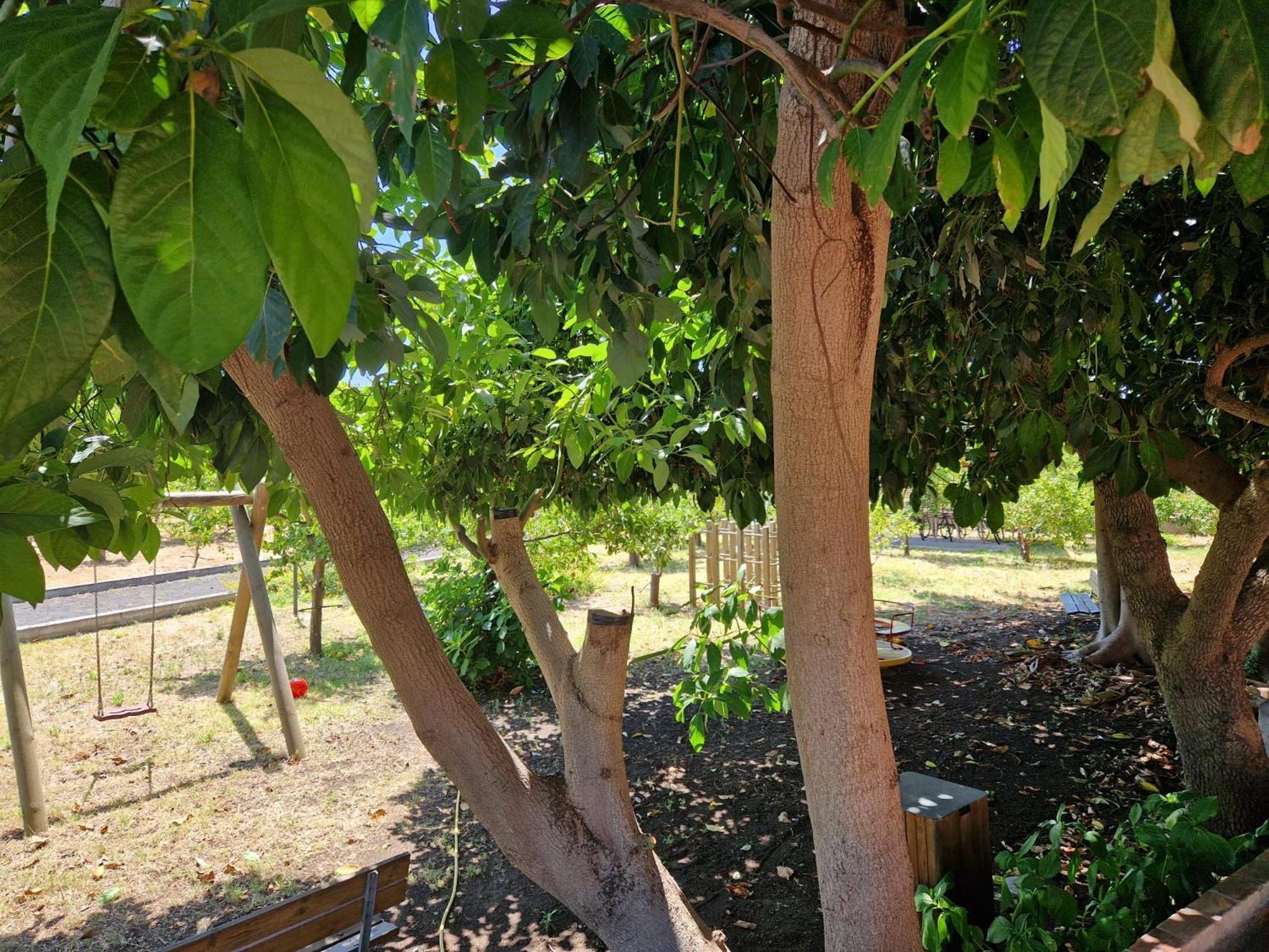 Lumia Villa Riposto Luaran gambar